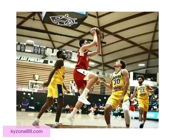 头被打肿也不算犯规祖巴茨回应裁判空接判罚记牢抡肘规则